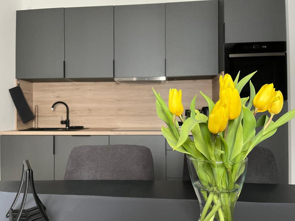Apartment Kammi 萨格勒布 外观 照片